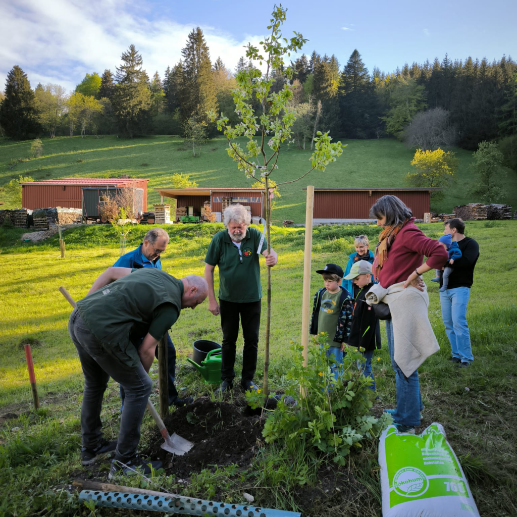 Tag des Baumes 2024